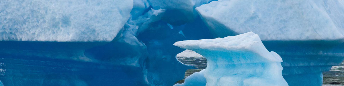 Guiding Clients Through the Process